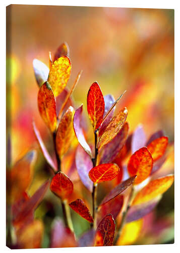 Canvastavla Red bilberry leaves