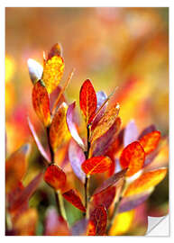 Naklejka na ścianę Red bilberry leaves