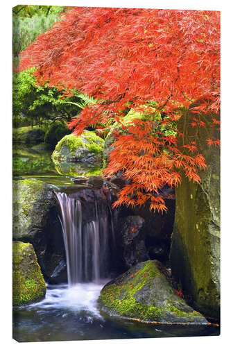 Canvas-taulu Waterfall and Japanese Maple