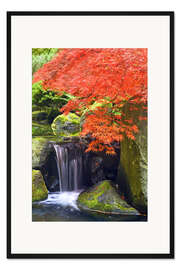 Gerahmter Kunstdruck Wasserfall und Roter Ahorn