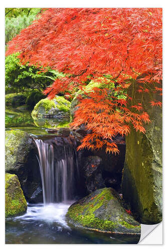 Selvklebende plakat Waterfall and Japanese Maple