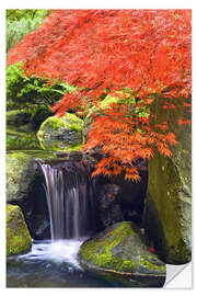 Selvklebende plakat Waterfall and Japanese Maple