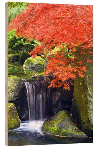 Obraz na drewnie Waterfall and Japanese Maple