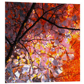 Quadro em PVC autumn tree I