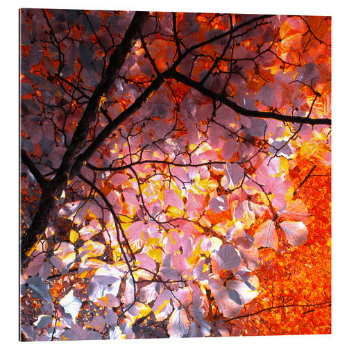 Galleriprint autumn tree I