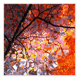 Poster Herbstbaum Abstrakt I