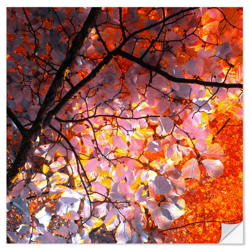 Wall sticker autumn tree I