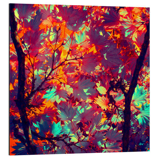 Cuadro de aluminio autumn tree II