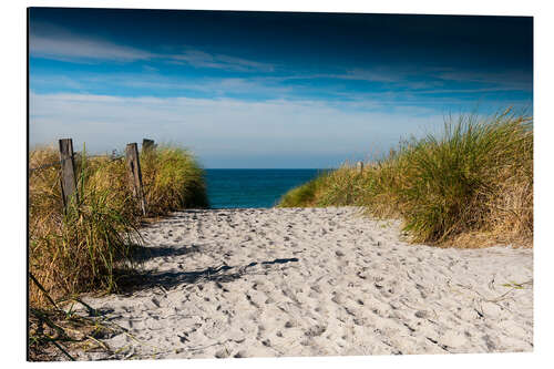 Stampa su alluminio Baltic Sea - path to the beach