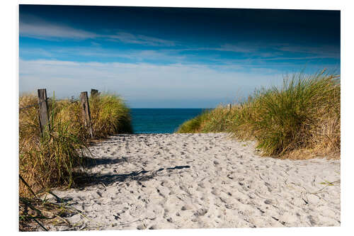 Cuadro de PVC Baltic Sea - path to the beach