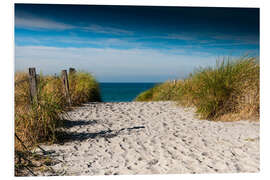 Foam board print Baltic Sea - path to the beach