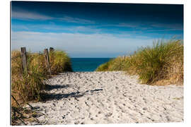 Gallery print Baltic Sea - path to the beach