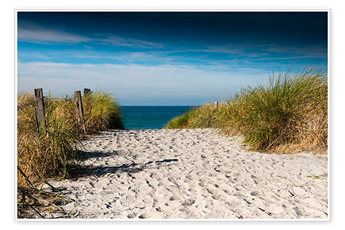 Poster Baltic Sea - path to the beach