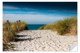 Selvklæbende plakat Baltic Sea - path to the beach