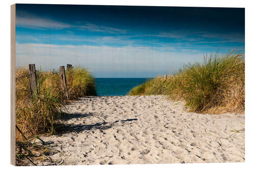 Puutaulu Baltic Sea - path to the beach