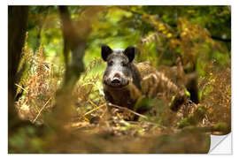 Wandsticker Wildschwein im Laubwald