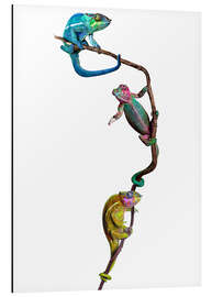 Magnettafel Bunte Chamäleons