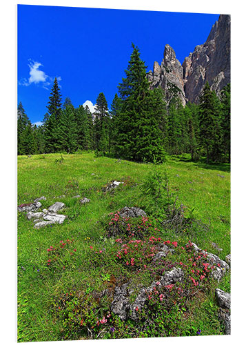 Foam board print mountains