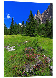 Foam board print mountains