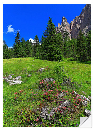 Sisustustarra mountains