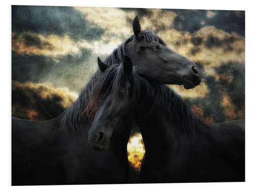 Tableau en PVC Chevaux sauvages