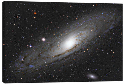 Canvas-taulu Andromeda Galaxy M31 I