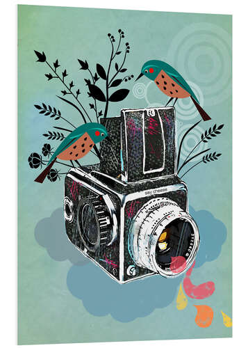 Cuadro de PVC Camara vintage con pajaros