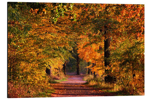 Alubild Herbst