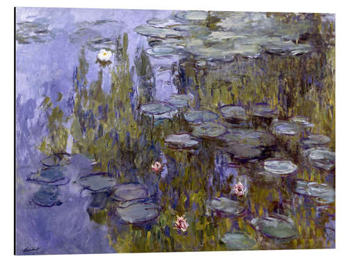 Aluminium print Water Lilies (Nympheas)