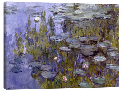 Canvas print Water Lilies (Nympheas)