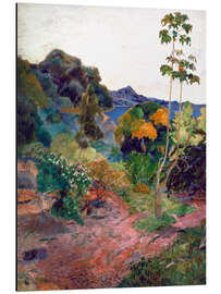 Magnettafel Küstenlandschaft auf Martinique