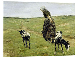 Acrylic print Woman with goats in the dunes