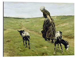 Tableau en aluminium Woman with goats in the dunes