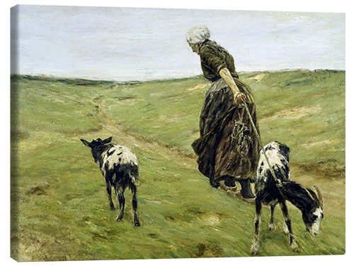 Canvas print Woman with goats in the dunes