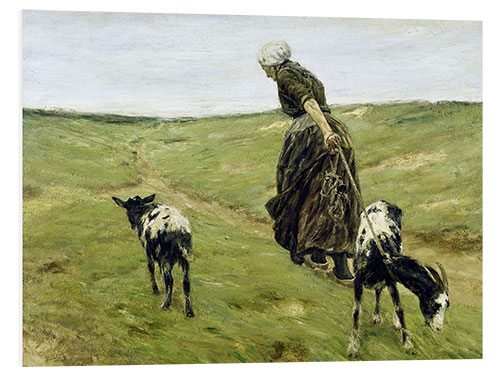 Foam board print Woman with goats in the dunes