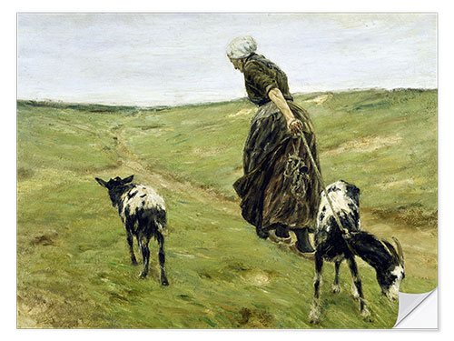 Vinilo para la pared Woman with goats in the dunes