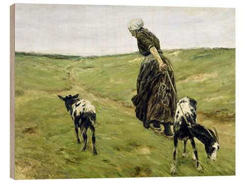 Quadro de madeira Woman with goats in the dunes