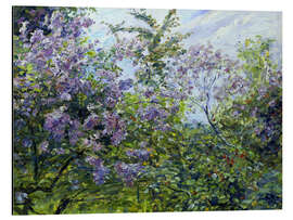 Aluminium print Blossoming lilac. About 1921