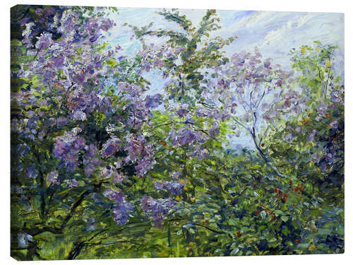 Canvas print Blossoming lilac. About 1921