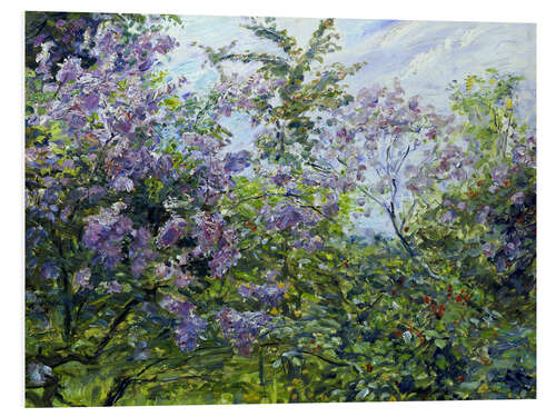 Foam board print Blossoming lilac. About 1921