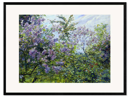 Inramat konsttryck Blossoming lilac. About 1921