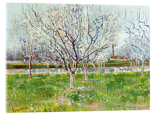 Quadro em acrílico Blossoming orchard