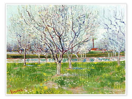 Poster Blühender Obstgarten