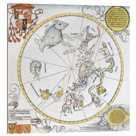 Gallery print Map of the Southern Sky. 1515