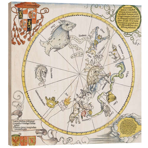 Wood print Map of the Southern Sky. 1515