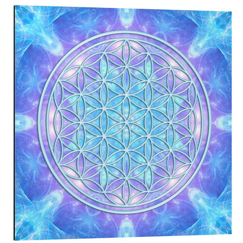 Aluminium print Flower of Life - Dolphin Awareness