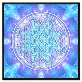 Gerahmter Kunstdruck Blume des Lebens - Delfin Bewusstsein