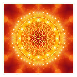 Poster Blume des Lebens - Goldene Lichtenergie