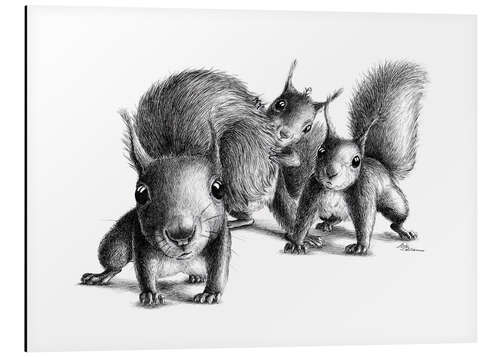 Aluminium print Three squirrels