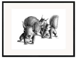 Framed art print Three squirrels